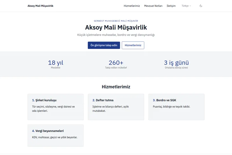 Mali Müşavir şablonunun görüntüsü